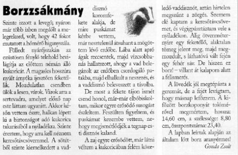 borzzsakmany.jpg