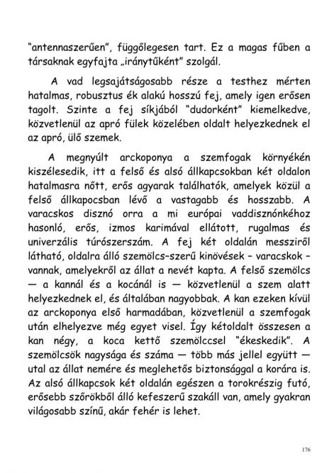 gonda_zsolt-vadasznaplom-00176.jpg
