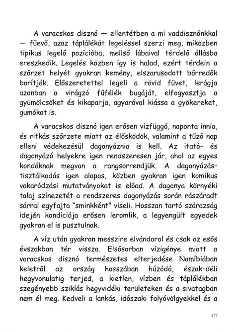 gonda_zsolt-vadasznaplom-00177.jpg
