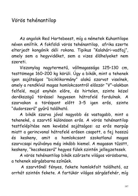 gonda_zsolt-vadasznaplom-00187.jpg