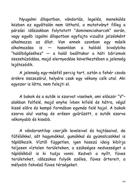gonda_zsolt-vadasznaplom-00199.jpg
