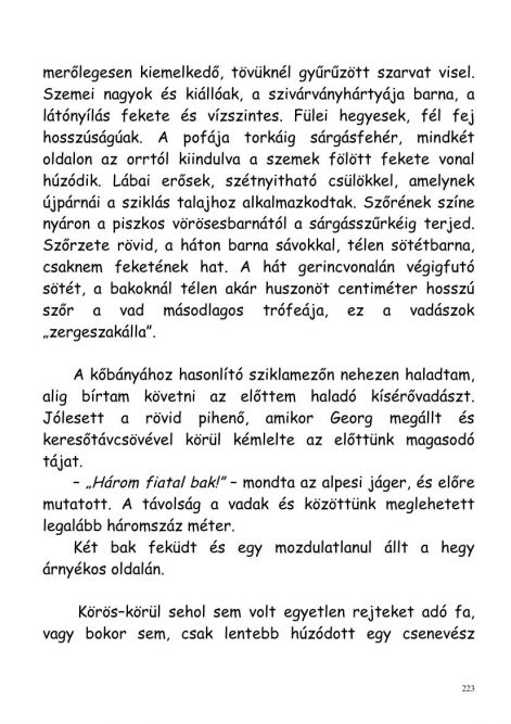 gonda_zsolt-vadasznaplom-00223.jpg